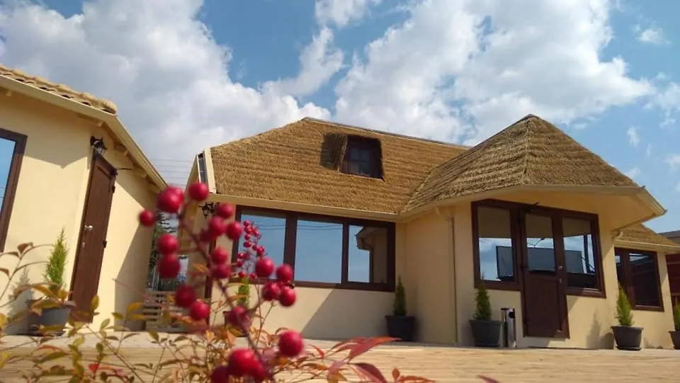 Apartment Ask Cozy Rooms Thessaloniki